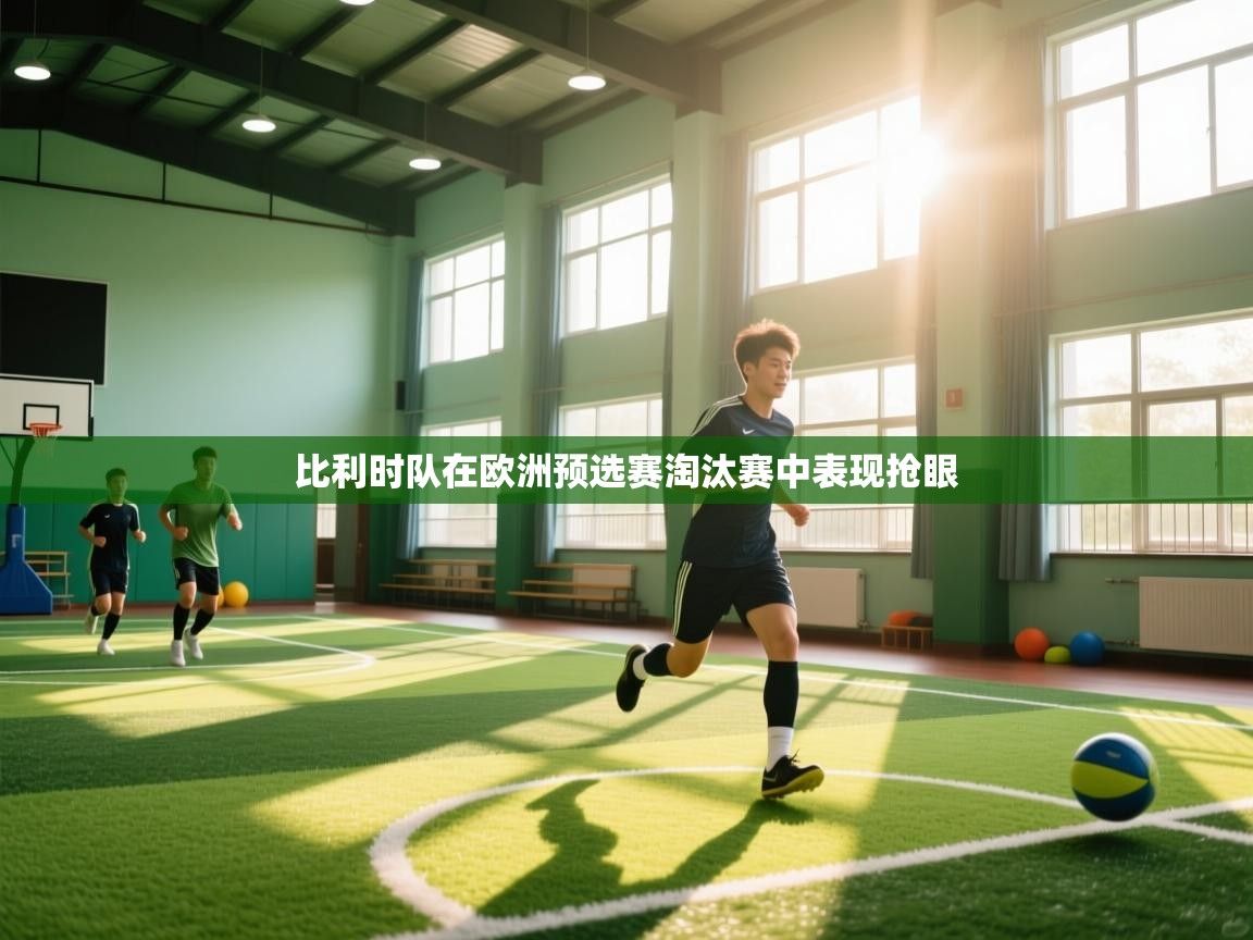 比利时队在欧洲预选赛淘汰赛中表现抢眼  第1张