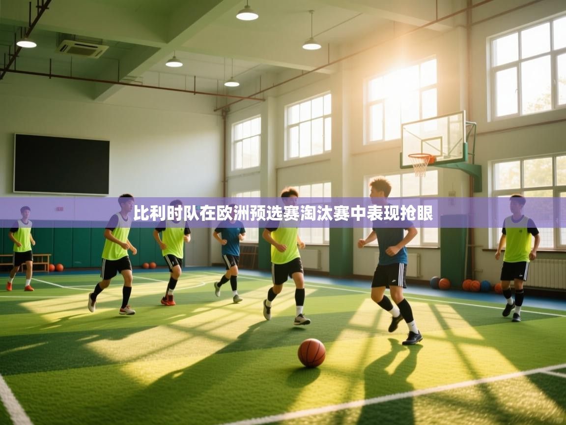 比利时队在欧洲预选赛淘汰赛中表现抢眼  第2张