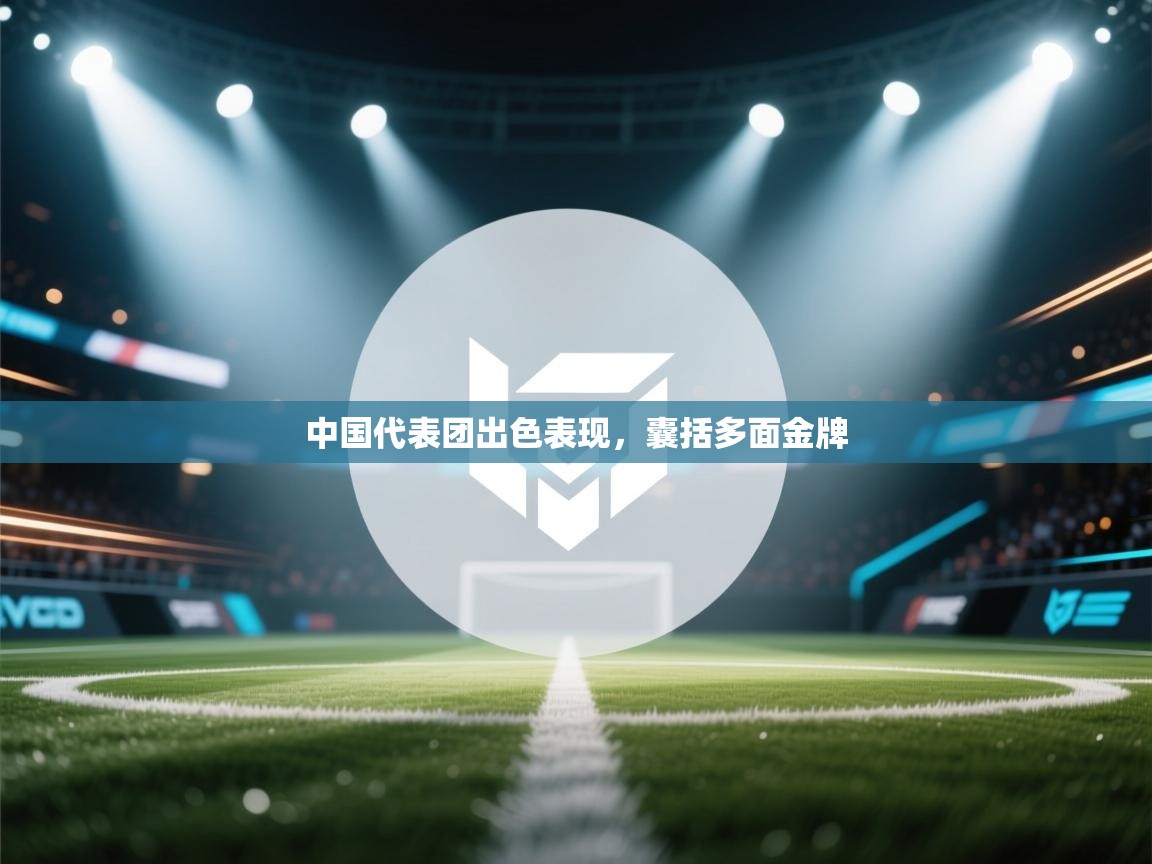 中国代表团出色表现，囊括多面金牌  第1张