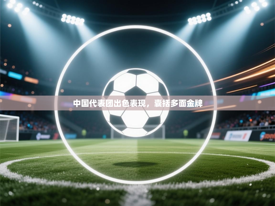 中国代表团出色表现，囊括多面金牌  第2张