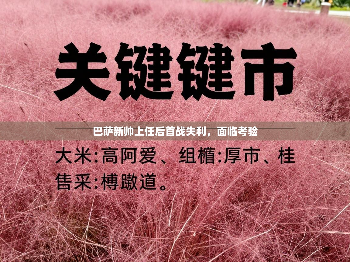 巴萨新帅上任后首战失利，面临考验  第2张