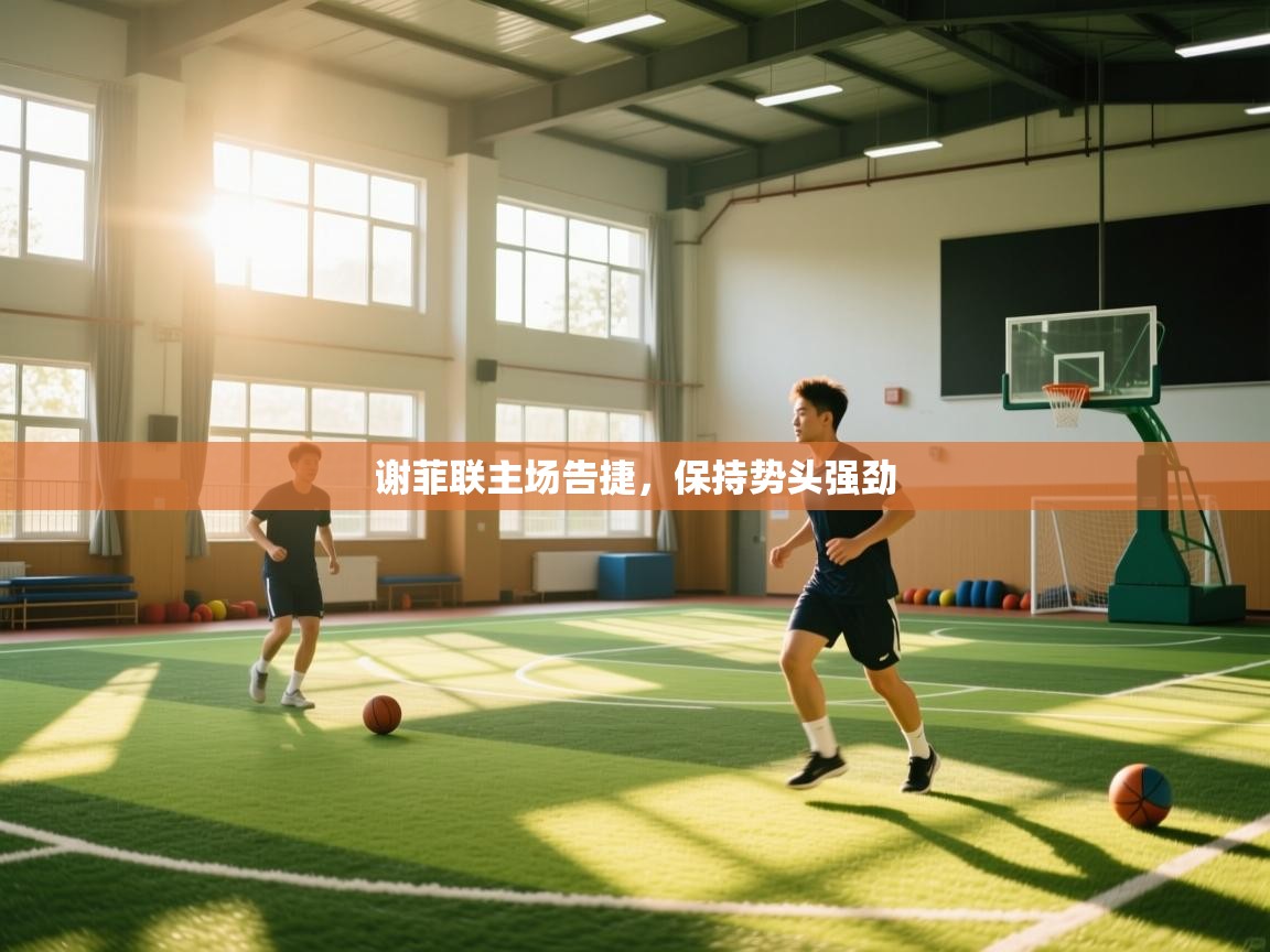 谢菲联主场告捷，保持势头强劲  第1张