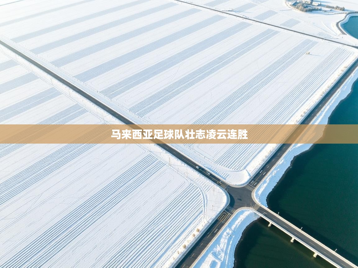 马来西亚足球队壮志凌云连胜  第1张