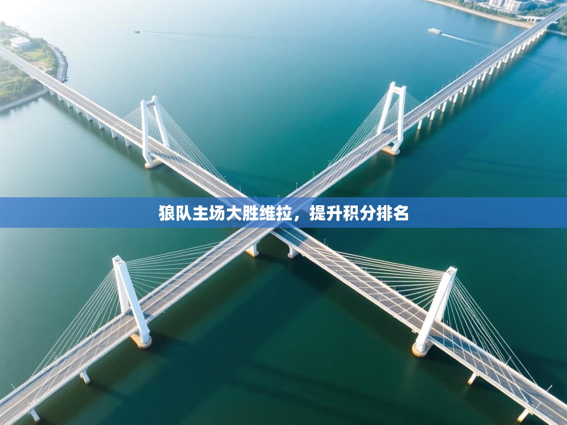 狼队主场大胜维拉,提升积分排名 第1张