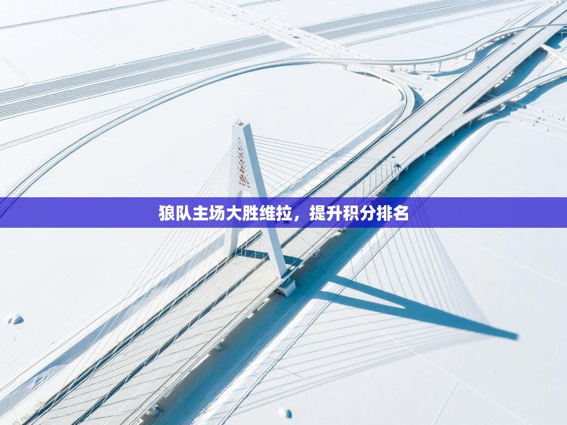 狼队主场大胜维拉,提升积分排名 第2张