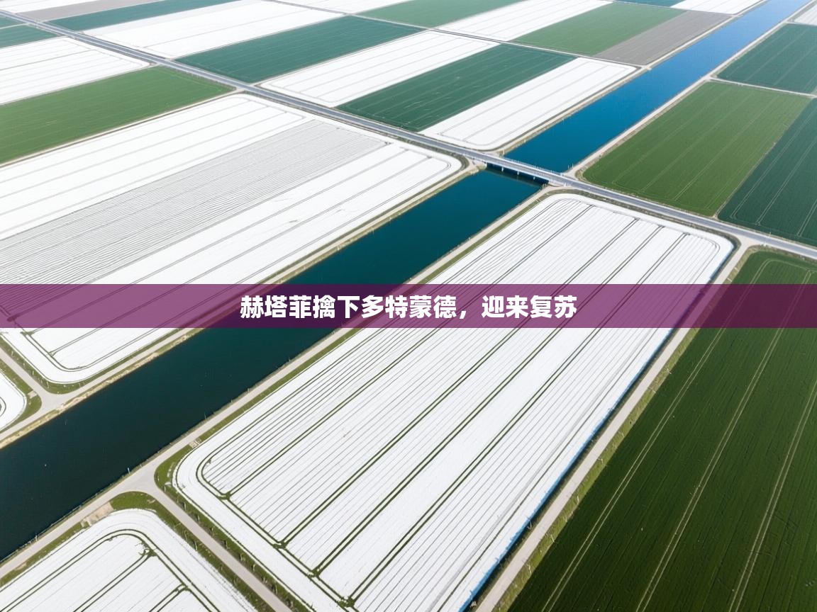 赫塔菲擒下多特蒙德，迎来复苏  第1张