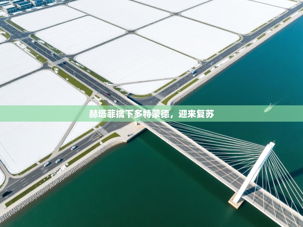 赫塔菲擒下多特蒙德，迎来复苏  第2张