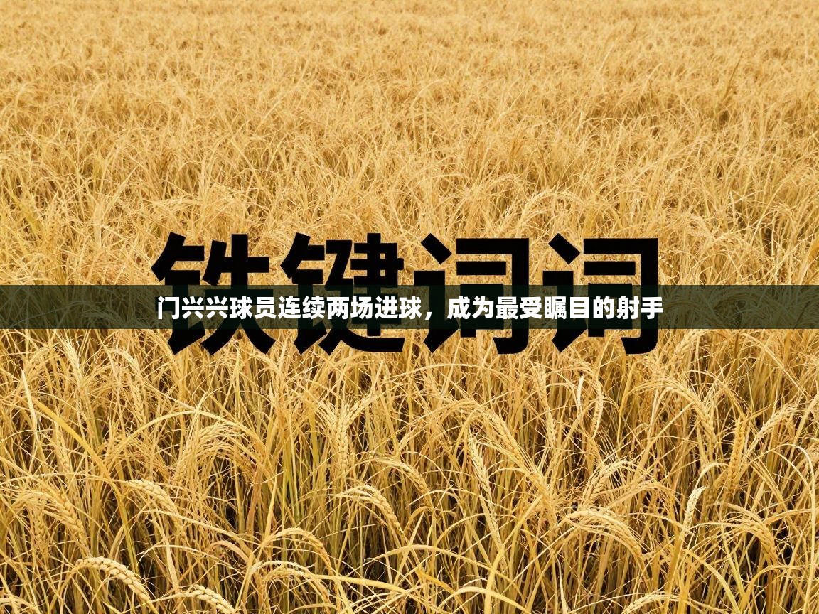 门兴兴球员连续两场进球,成为最受瞩目的射手 第2张